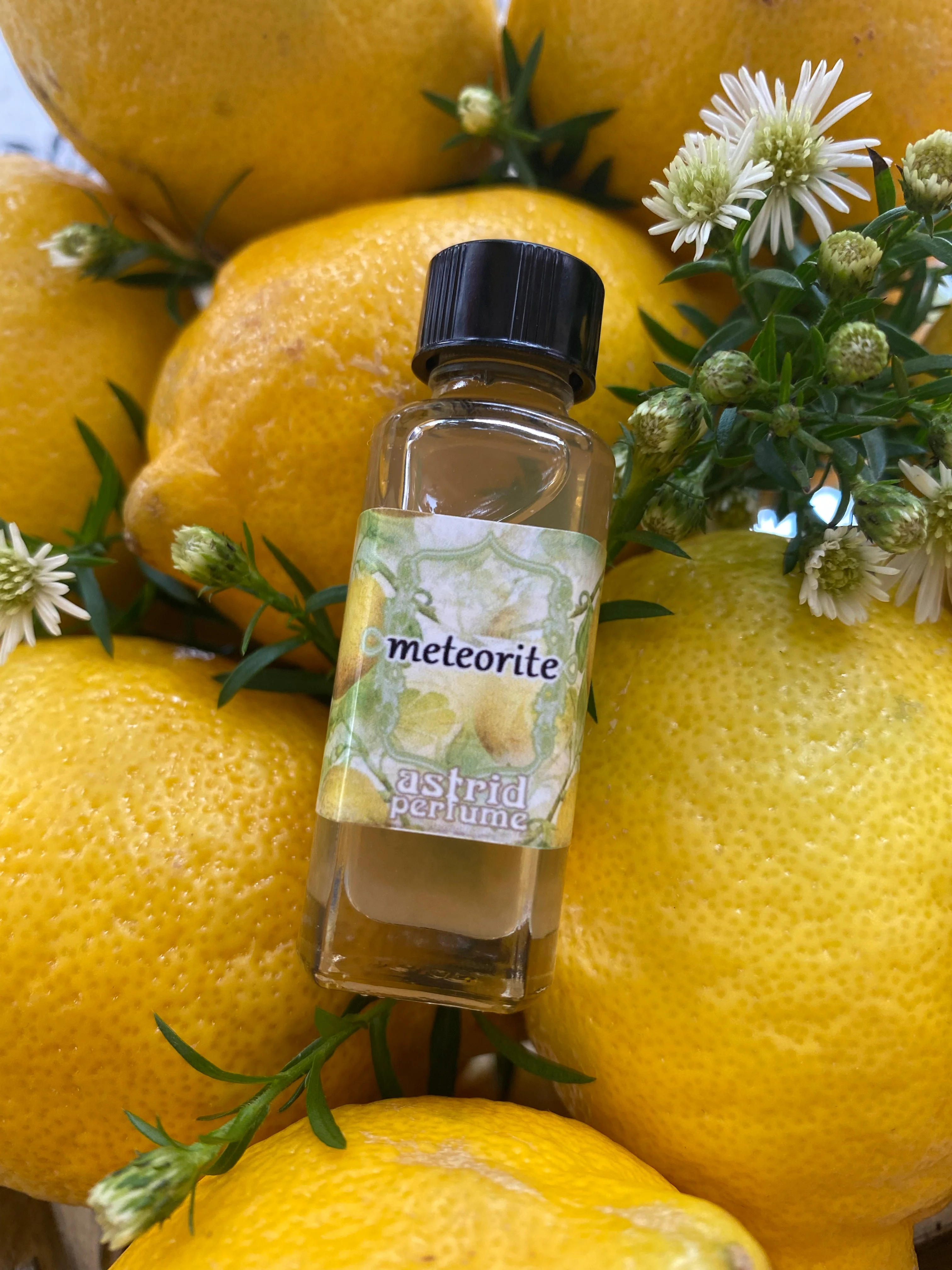 From the Vault: Lemon Summer III
